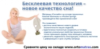 ЧЕМПИОН FORTE ✔️ 【АКЦИИ】 ...☎️...